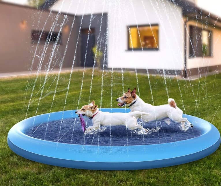 Dog splash | Houd je hond koel deze zomer